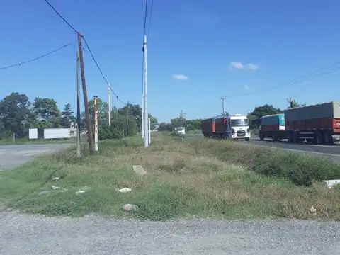 Campo en Venta en Casilda, Caseros