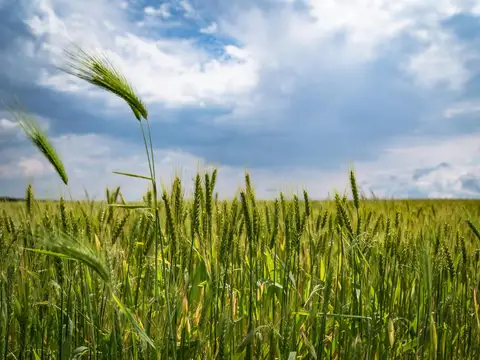Campo en Venta en Soldini, Rosario