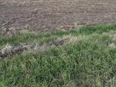 Campo en Venta en Rueda, Constitución