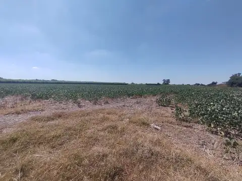 Campo en Venta en Perez, Rosario