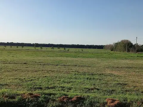 Campo en Venta en Pujato Norte, Las Colonias