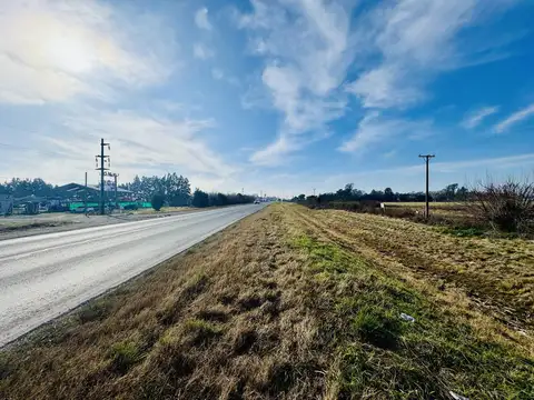 Campo en Venta en Alvear, Rosario