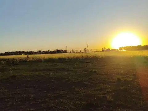 Campo en Venta en Arroyo Seco, Rosario