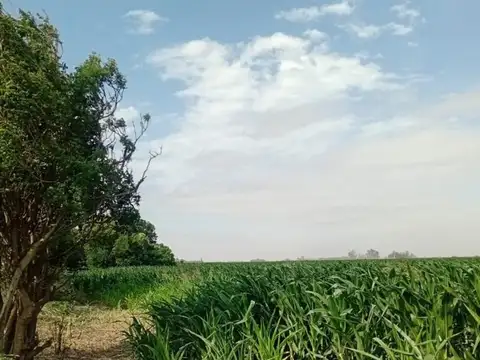 Campo en Venta en Carmen del Sauce, Rosario