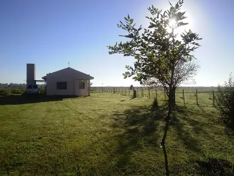 Campo en Venta en Luis Palacios, San Lorenzo