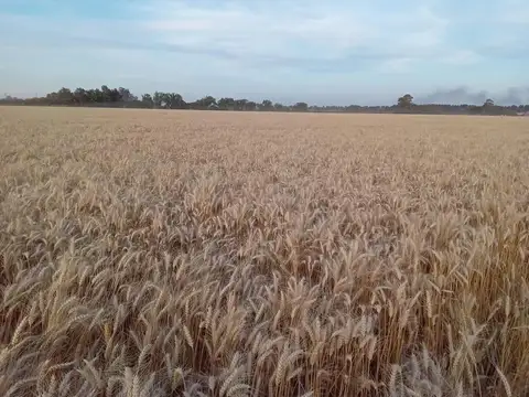 Campo en Venta en Soldini, Rosario
