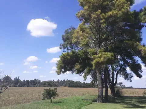 Campo en Venta en Casilda, Caseros
