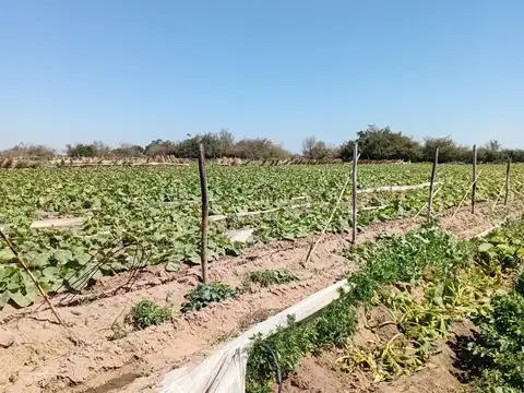 Campo en Venta en Campo del Medio, Garay