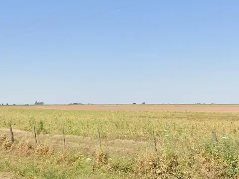 Campo en Venta en Coronel Bogado, Rosario