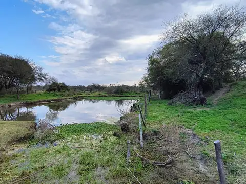 Campo en Venta en Vera, Santa Fe
