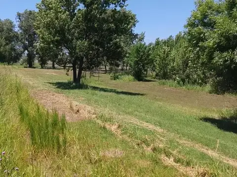 Campo en Venta en Granadero Baigorria, Rosario