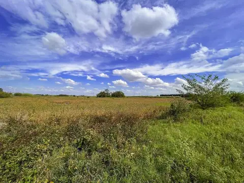Campo en Venta en Perez, Rosario