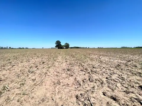 Campo en Venta en Soldini, Rosario