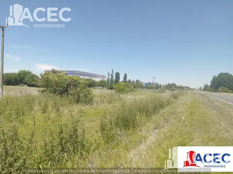 Campo en Venta en Alvear, Rosario