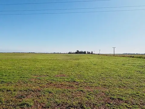 Campo en Venta en Piñero, Rosario