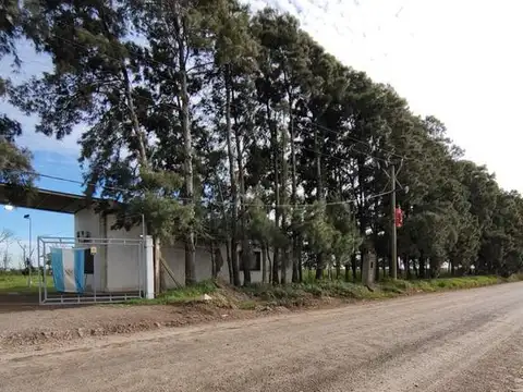 Campo en Venta en Puerto Gral San Martin, San Lorenzo