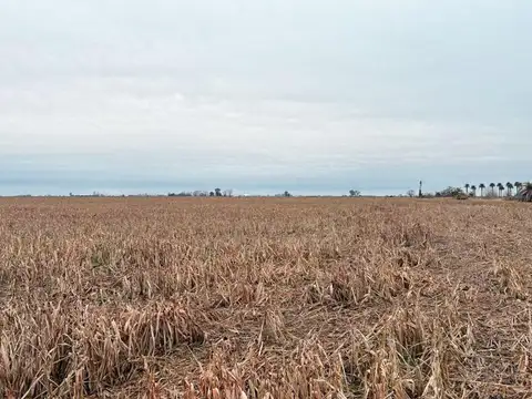 Campo en Venta en Santa Teresa, Constitución