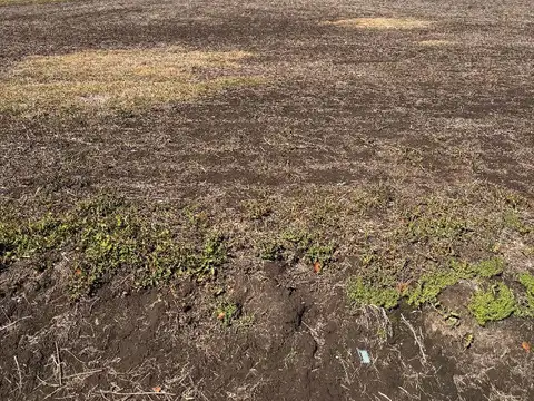 Campo en Venta en Uranga, Rosario
