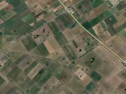 Campo en Venta en Pavon, Constitución