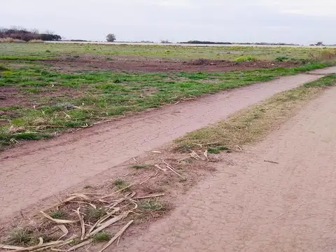 Campo en Venta en Barrio Alvear, Rosario