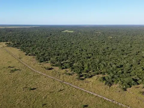 Campo en Venta en Villa Guillermina, General Obligado