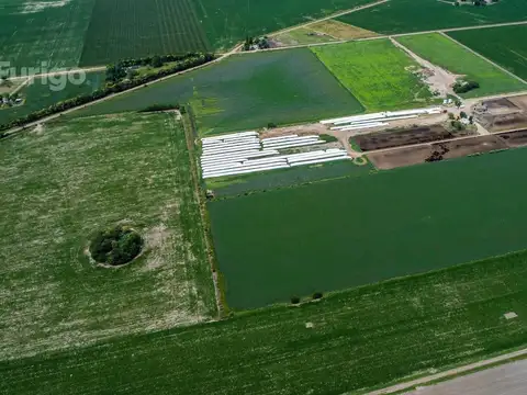 Campo en Venta en Soldini, Rosario