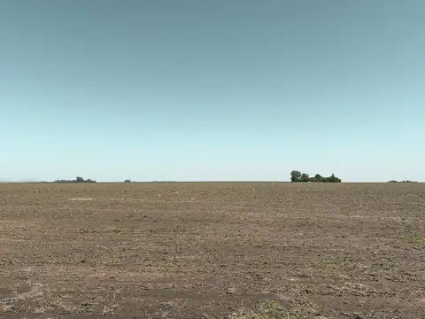 Campo en Venta en Chovet, General López