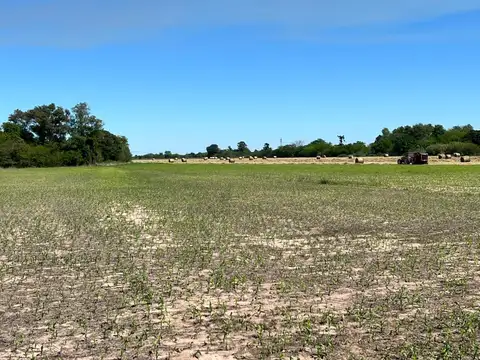 Campo en Venta en Pueblo Candioti, La Capital