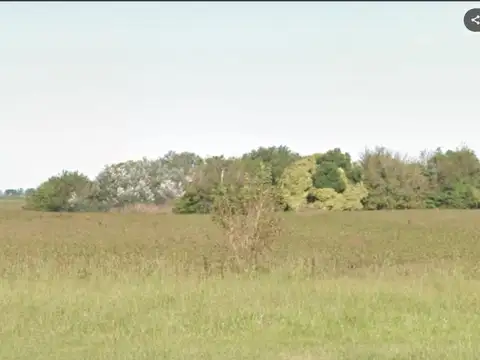 Campo en Venta en San Genaro, San Jerónimo
