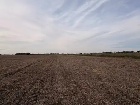 Campo en Venta en Rueda, Constitución