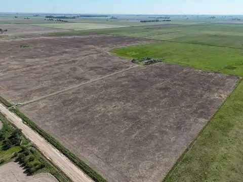Campo en Venta en Luis Palacios, San Lorenzo