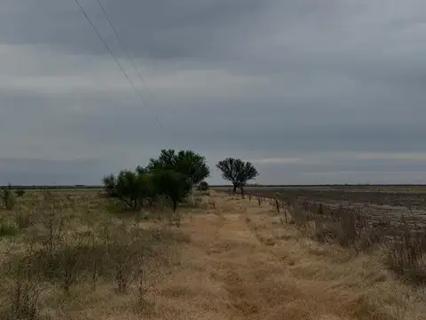 Campo en Venta en Colonia Belgrano, San Martín