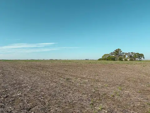 Campo en Venta en Fighiera, Rosario