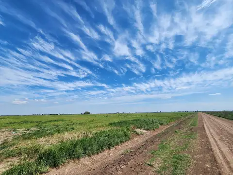 Campo en Venta en Fighiera, Rosario