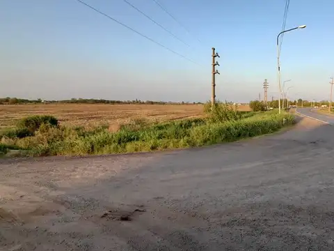 Campo en Venta en Ricardone, San Lorenzo