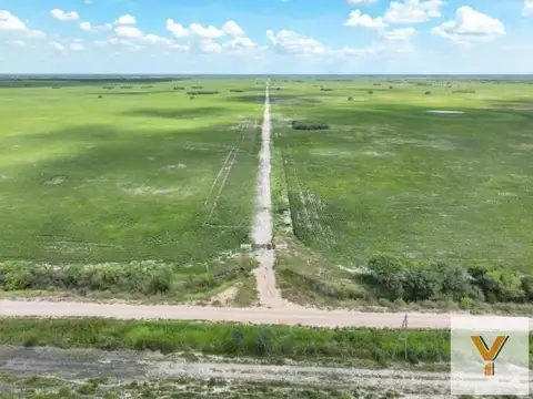 Campo en Venta en Villa Minetti, 9 de Julio