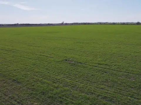 Campo en Venta en Irigoyen, San Jerónimo