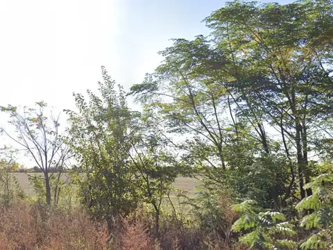 Campo en Venta en Perez, Rosario