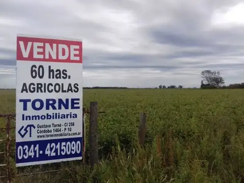 Campo en Venta en Serodino, Iriondo