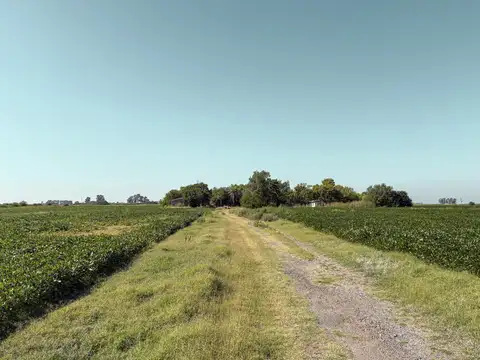 Campo en Venta en Soldini, Rosario