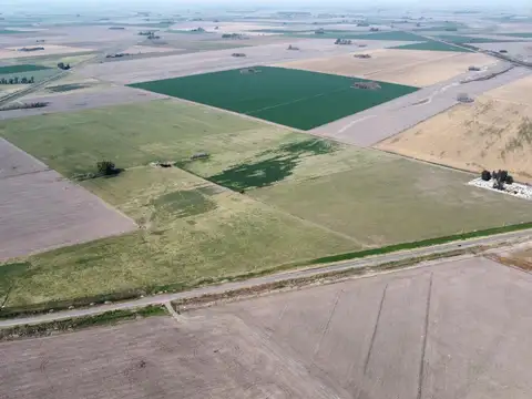Campo en Venta en Santa Teresa, Constitución
