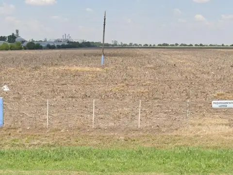 Campo en Venta en Armstrong, Belgrano