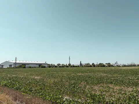 Campo en Venta en Armstrong, Belgrano