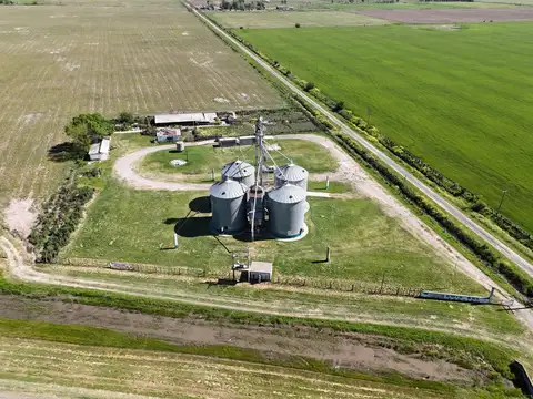 Campo en Venta en Luis Palacios, San Lorenzo