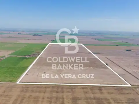 Campo en Venta en Luis Palacios, San Lorenzo