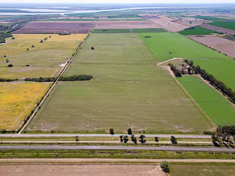 Campo en Venta en Pavon, Constitución