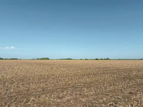 Campo en Venta en Godoy, Constitución