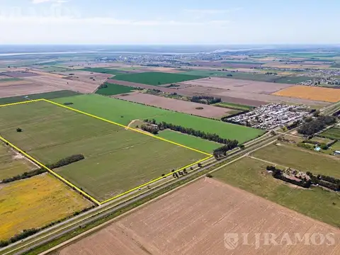 Campo en Venta en Pavon, Constitución