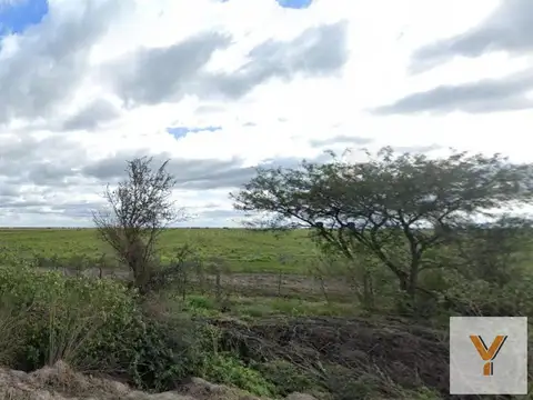 Campo en Venta en Gato Colorado, 9 de Julio