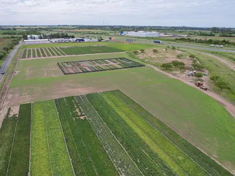 Campo en Venta en Arroyo Seco, Rosario